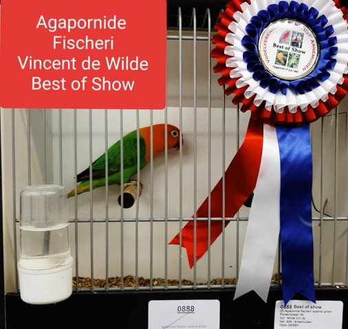 vincent de wilde 